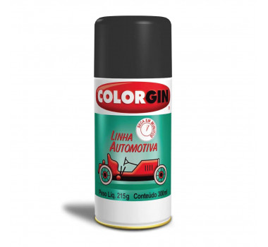 COLORGIN SPRAY SELADOR PARA PLASTICO